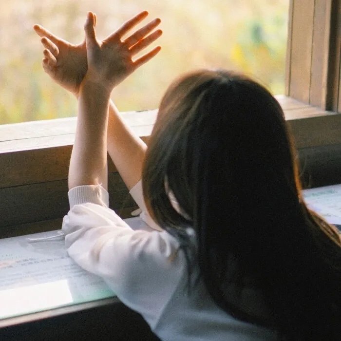 公主，这案你怎么看